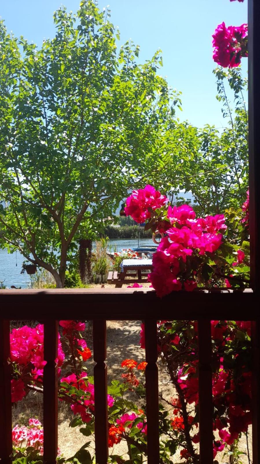 Caunos Bungalow Muğla Bagian luar foto